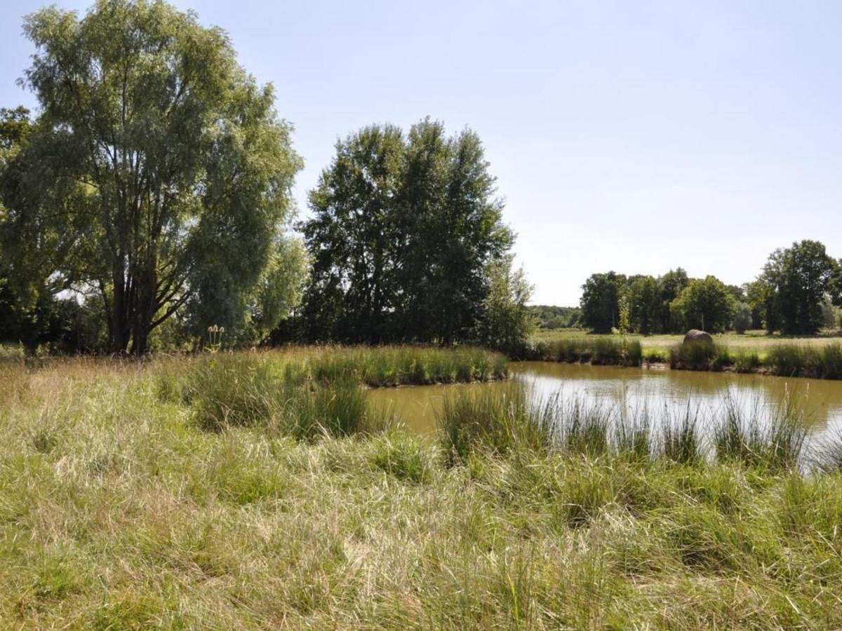 Gite Familial En Ferme Avec Jardin, Proche Foret Et Canal D'Orleans - Label Tourisme Et Handicap - Fr-1-590-7 Chailly-en-Gatinais Eksteriør billede